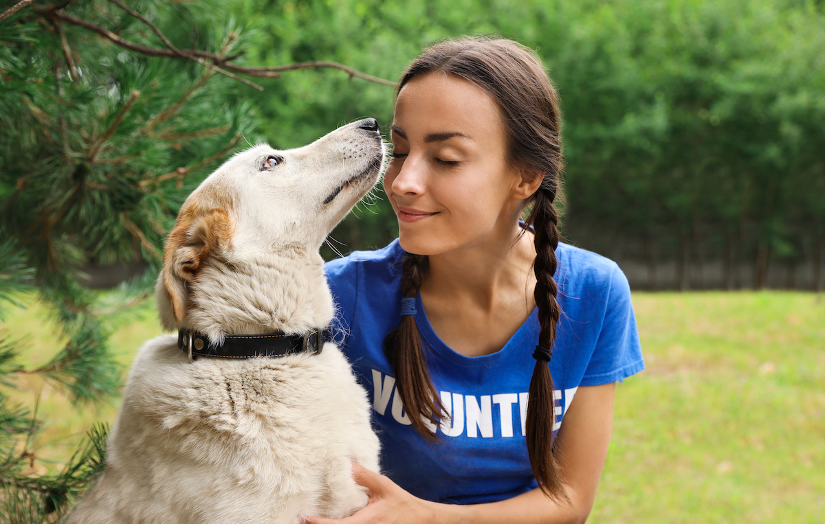 Volunteering at an animal shelter