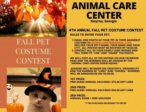 4th Annual Pet Costume Contest