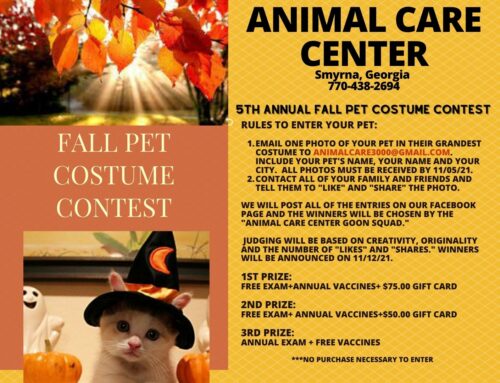 5th Annual Fall Pet Costume Contest
