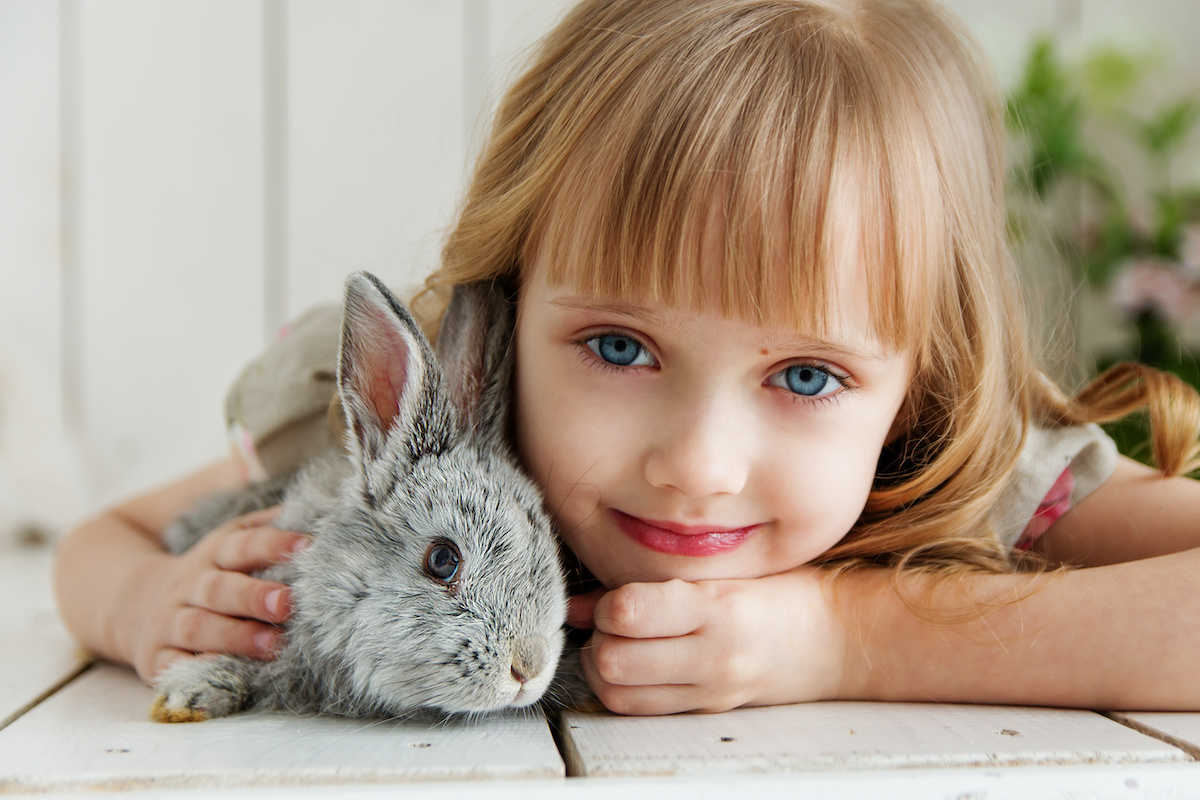 how to take care of a pet rabbit