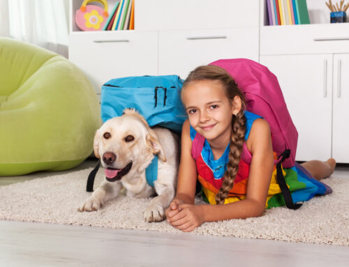 The Benefits of Pets for School-Aged Children