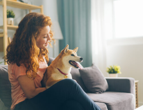 The Right Pet: Choosing Based on Your Lifestyle